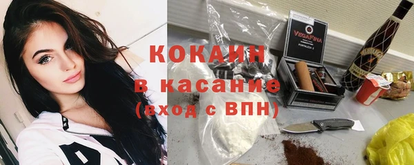меф Арсеньев